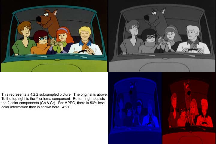 color.jpg